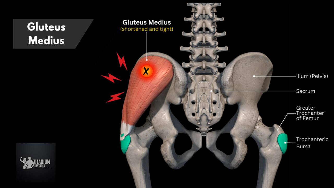Lower Back Pain Root Causes And Relief Exercises